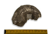 F 01979
<br/>
<br/>
<em></em>